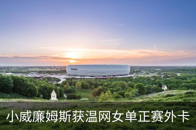 小威廉姆斯获温网女单正赛外卡